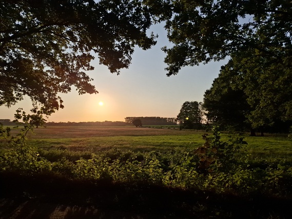 Sonnenuntergang über einer Wiese mit Bäumen – Symbol für Selbstliebe lernen und innere Ruhe