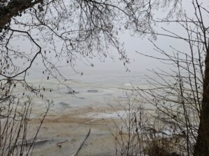 Grau verschneiter Wintertag am zugefrorenen See, Blick durch kahles Geäst, Symbol für Ruhe, Reflexion und Hoffnung trotz schwieriger Zeiten.